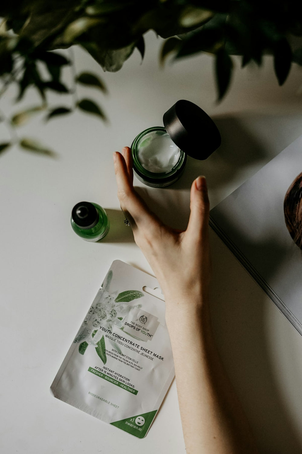 Face cream and skincare products